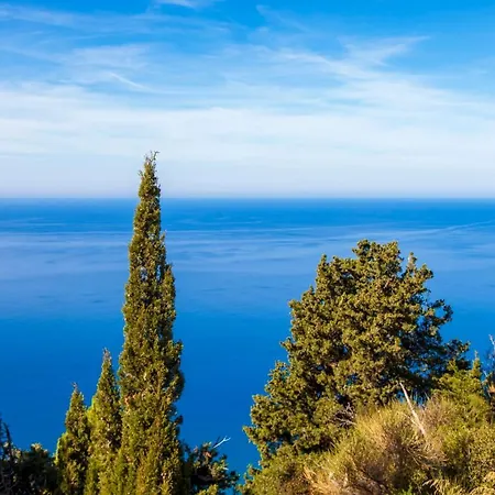 Ble On Blue Athánion