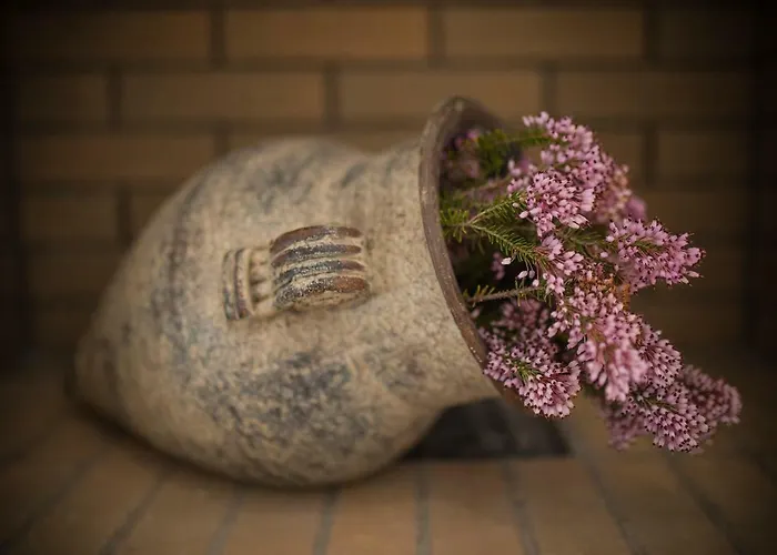 فيلة Ble On Blue Athánion