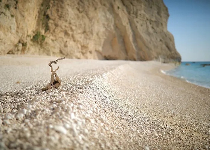 Ble On Blue فيلة